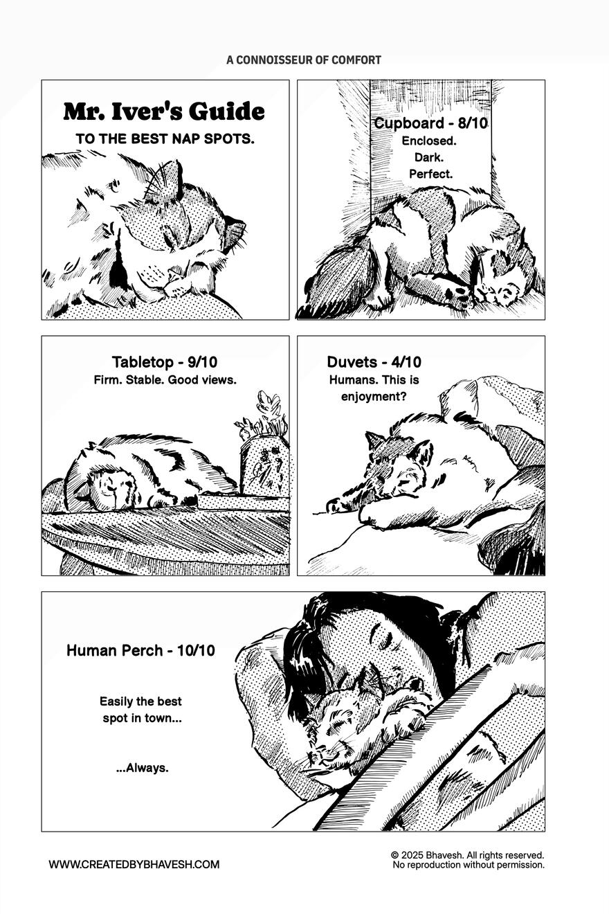 A Connoisseur of Comfort